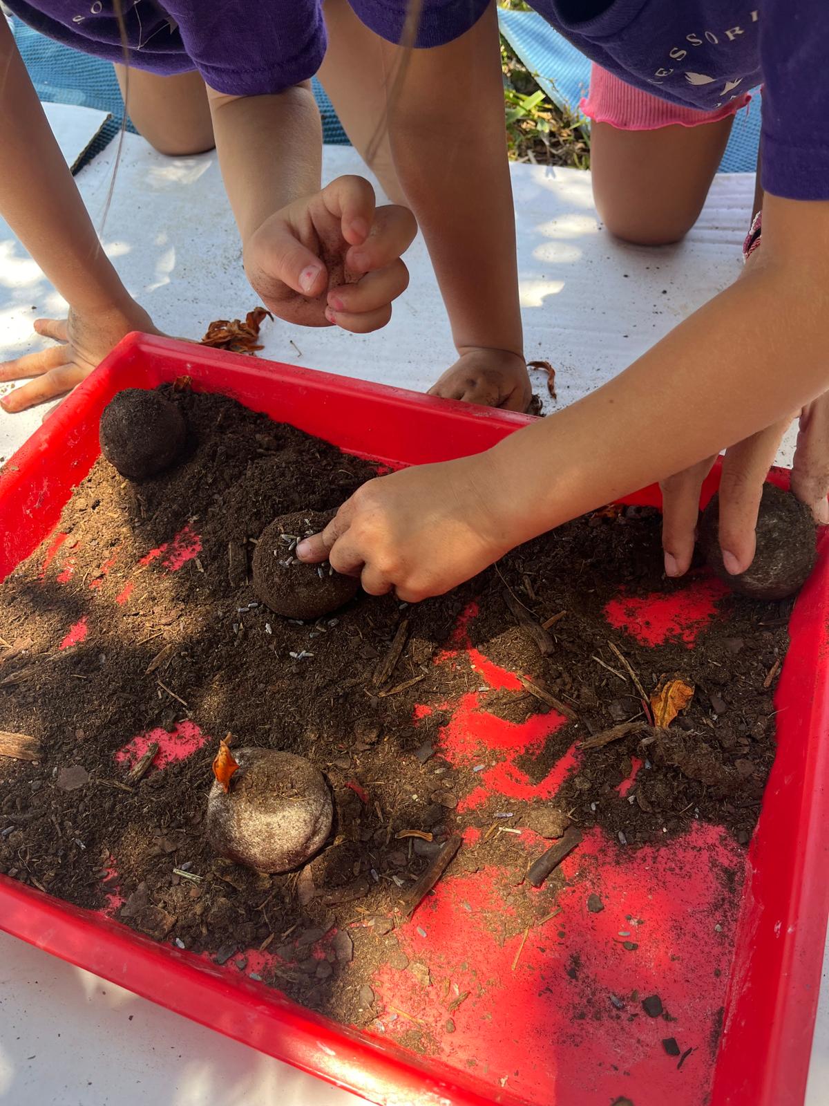 Imagen de WhatsApp 2024-05-31 a las 11.06.55_0933d42f