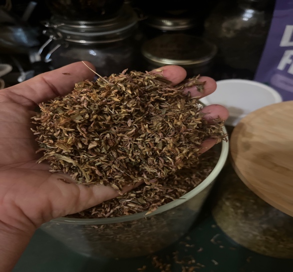 Herbalism for Families: Plant Allies for Everyday Life